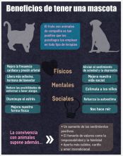 beneficios de tener mascota.jpg